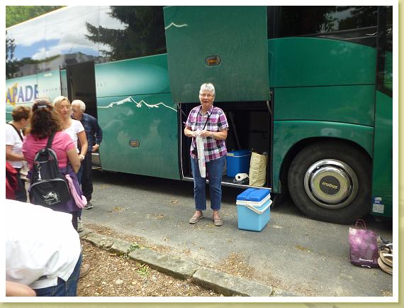 Provins_Marche (15)